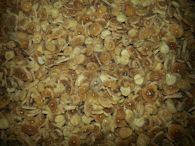 20140220_095255.jpg
