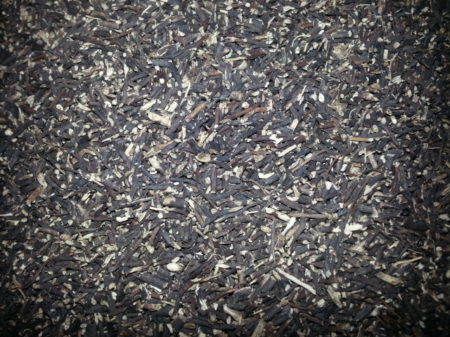 20140220_100324.jpg