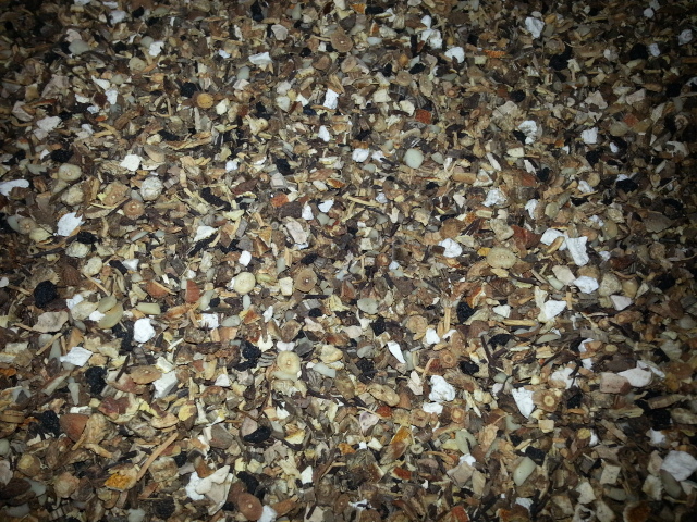 20140220_101519.jpg