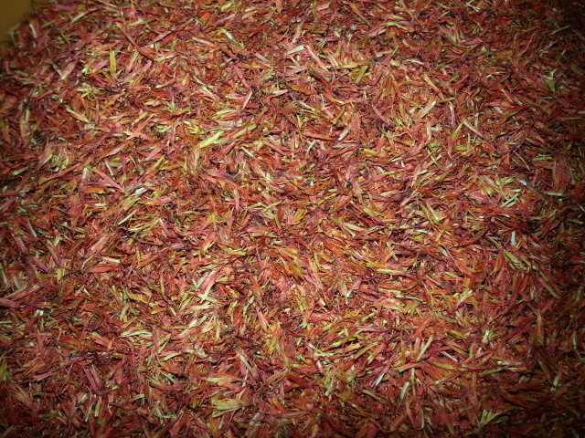 20140309_134514.jpg