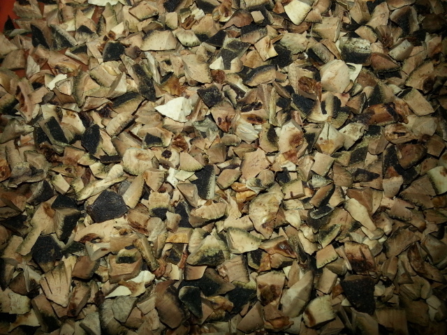 20140309_135606.jpg