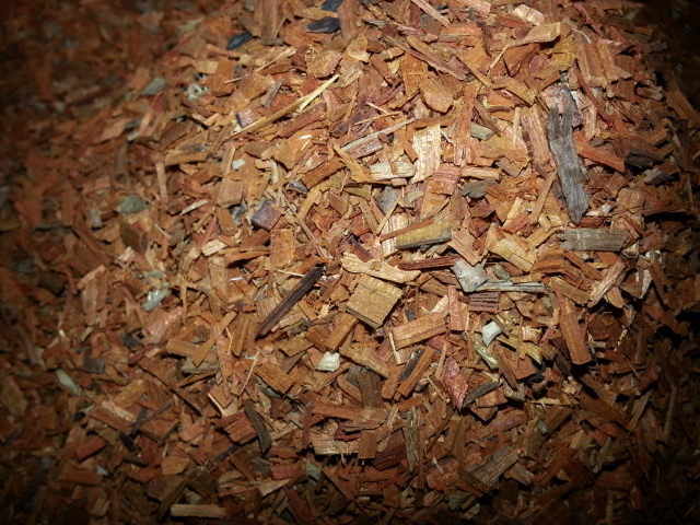 20140309_140327.jpg