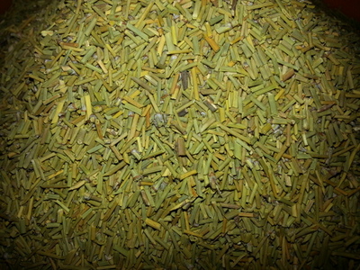 20140320_104259.jpg